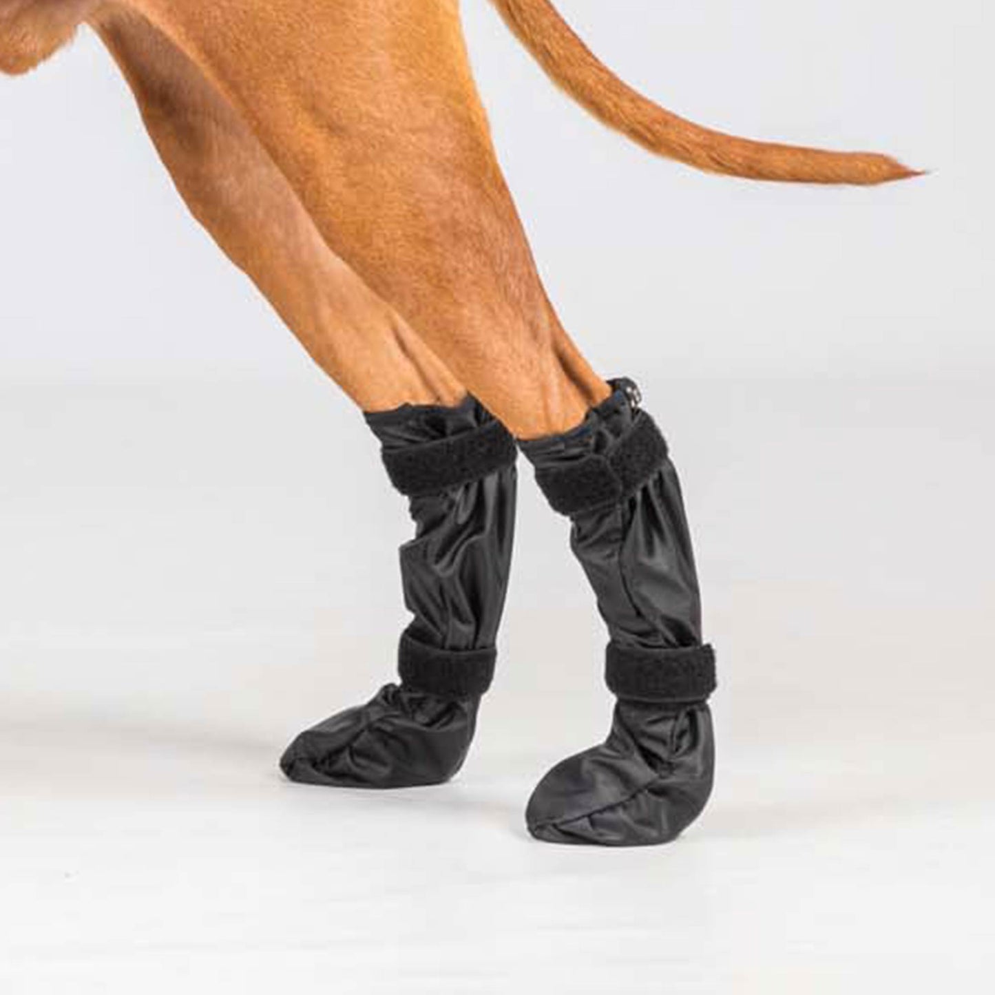 "Lola" huisdierschoenen