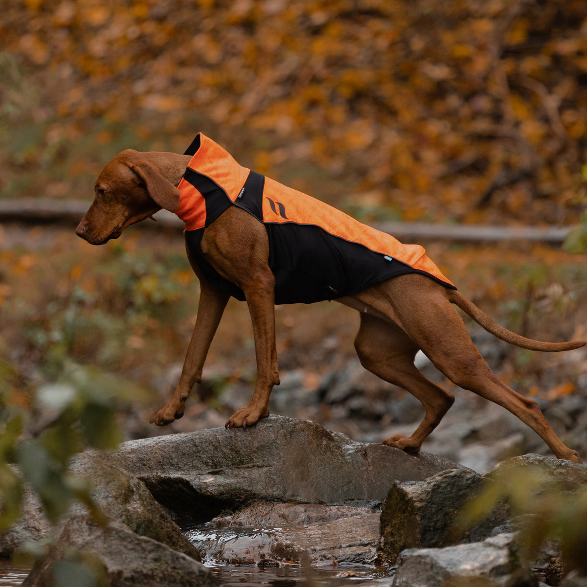 BARK Reflektierender Hundepullover
