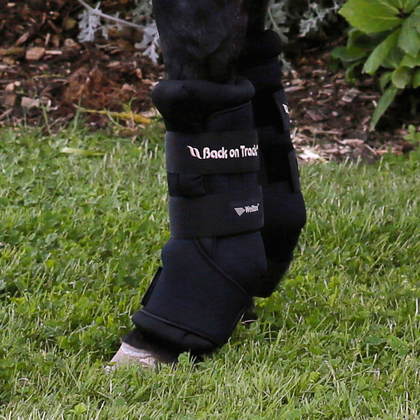 Royal Quick Wraps Neoprene Outer Layer