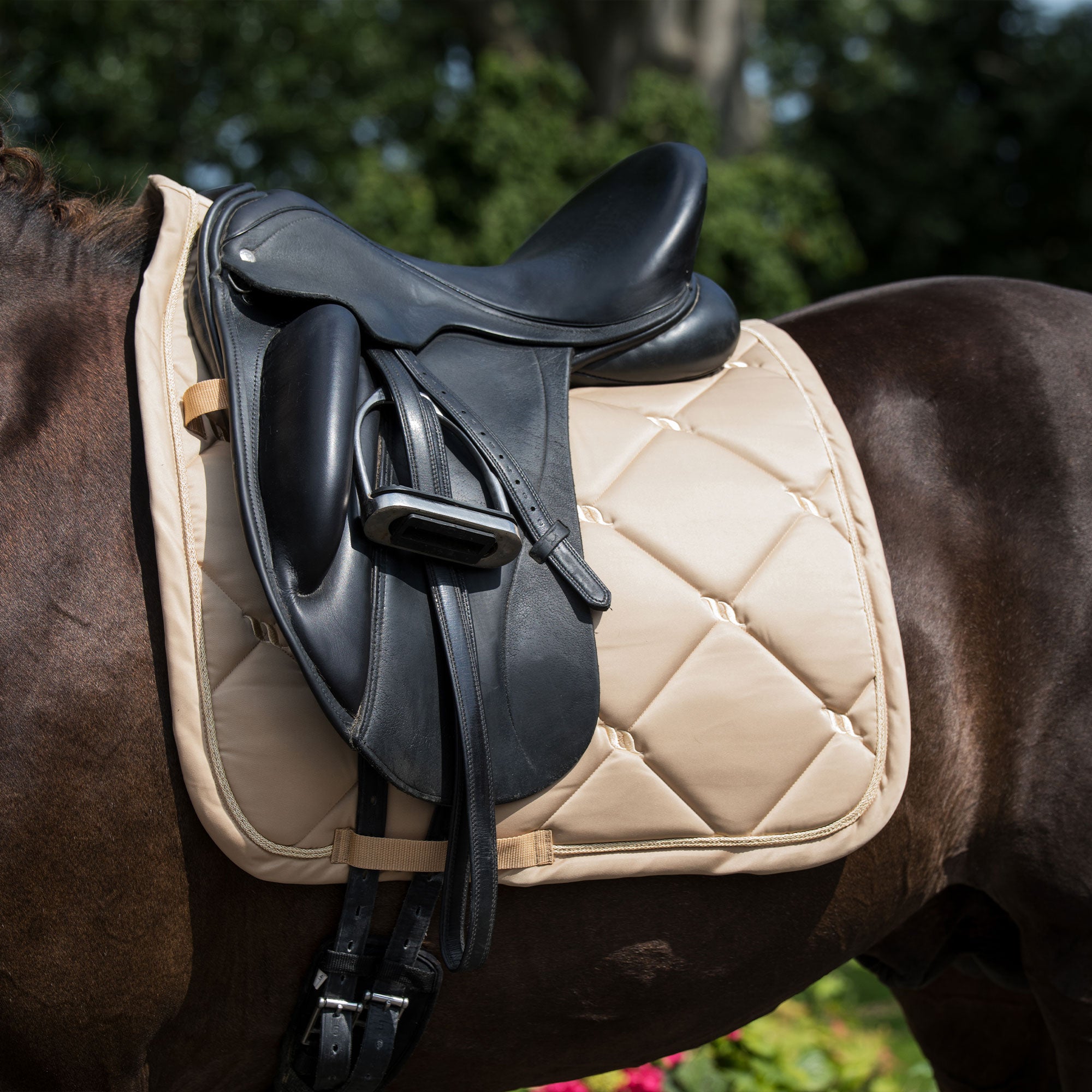 "Nights Collection" Saddle Pad Dressage Champagne