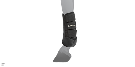 EXERCISE BOOTS front leg SIZE CHART