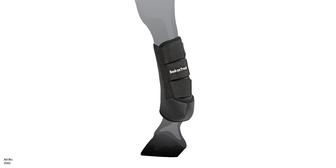 EXERCISE BOOTS HIND LEG SIZE CHART
