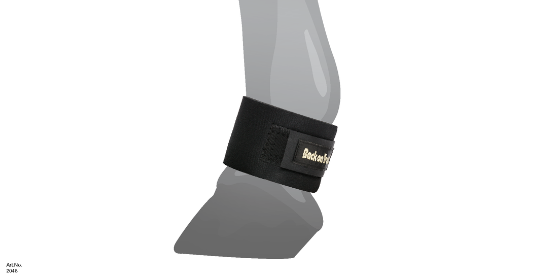 PASTERN WRAP SIZE CHART