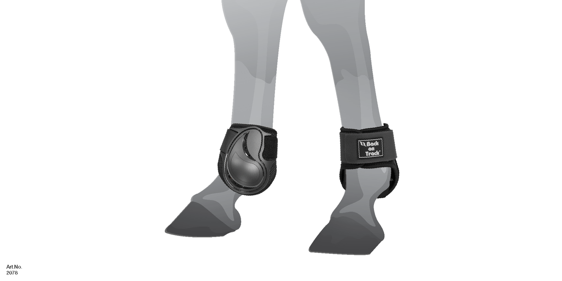 ROYAL BOOTS, HIND LEG SIZE CHART