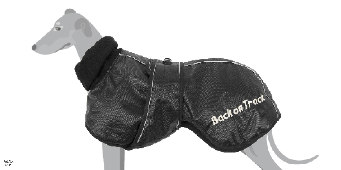 WHIPPET DOG COAT SIZE CHART
