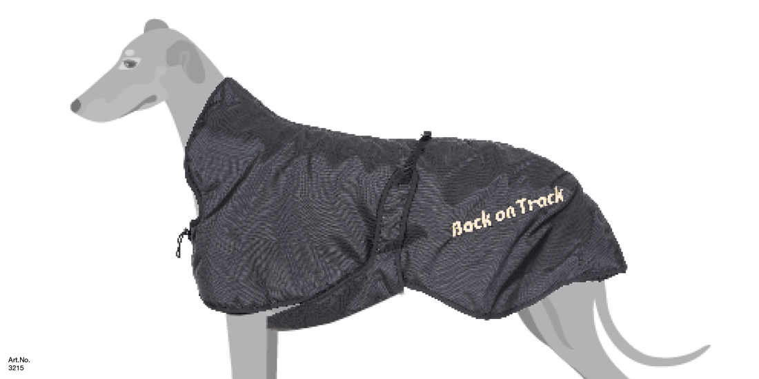 GREYHOUND DOG COAT SIZE CHART