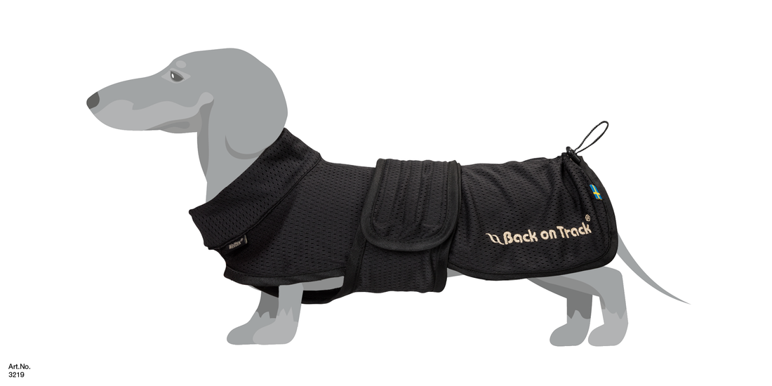 BUDDY DOG COAT SIZE CHART