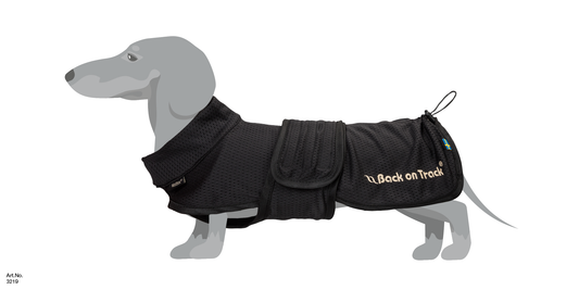BUDDY DOG COAT SIZE CHART