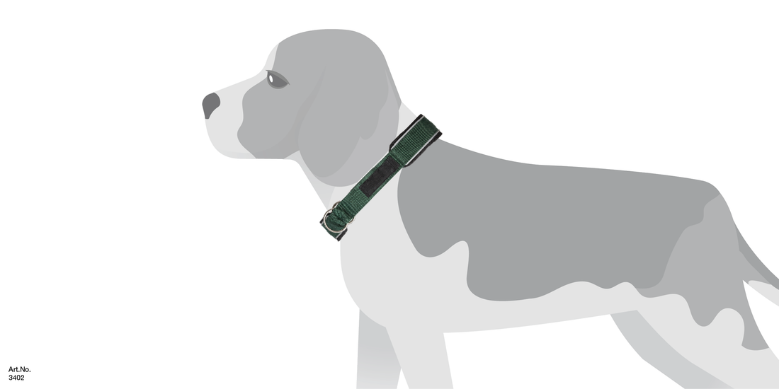 CHARLIE DOG COLLAR SIZE CHART