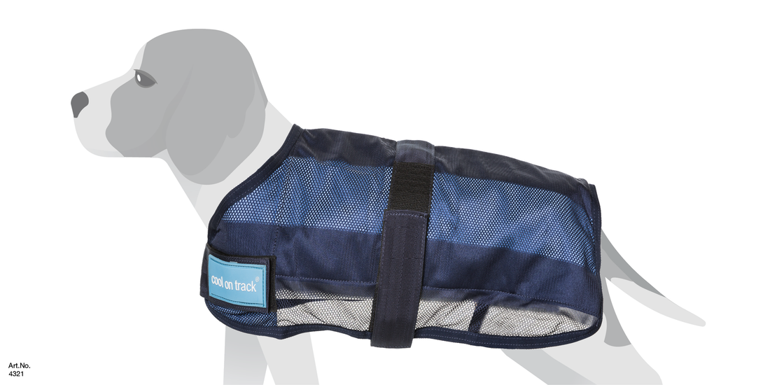 COOL ON TRACK DOG JACKET SIZE CHART
