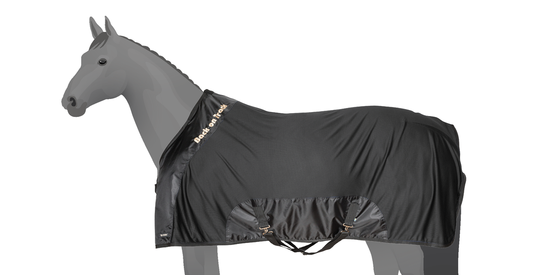 HORSE BLANKETS SIZE CHART