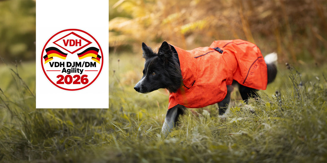Agility VDH Deutsche Meisterschaft 2026: 24.-25.10.2026
