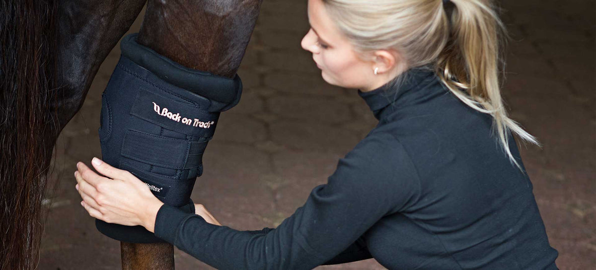 Hock Boots, Horse Knee Boots Back on Track Worldwide