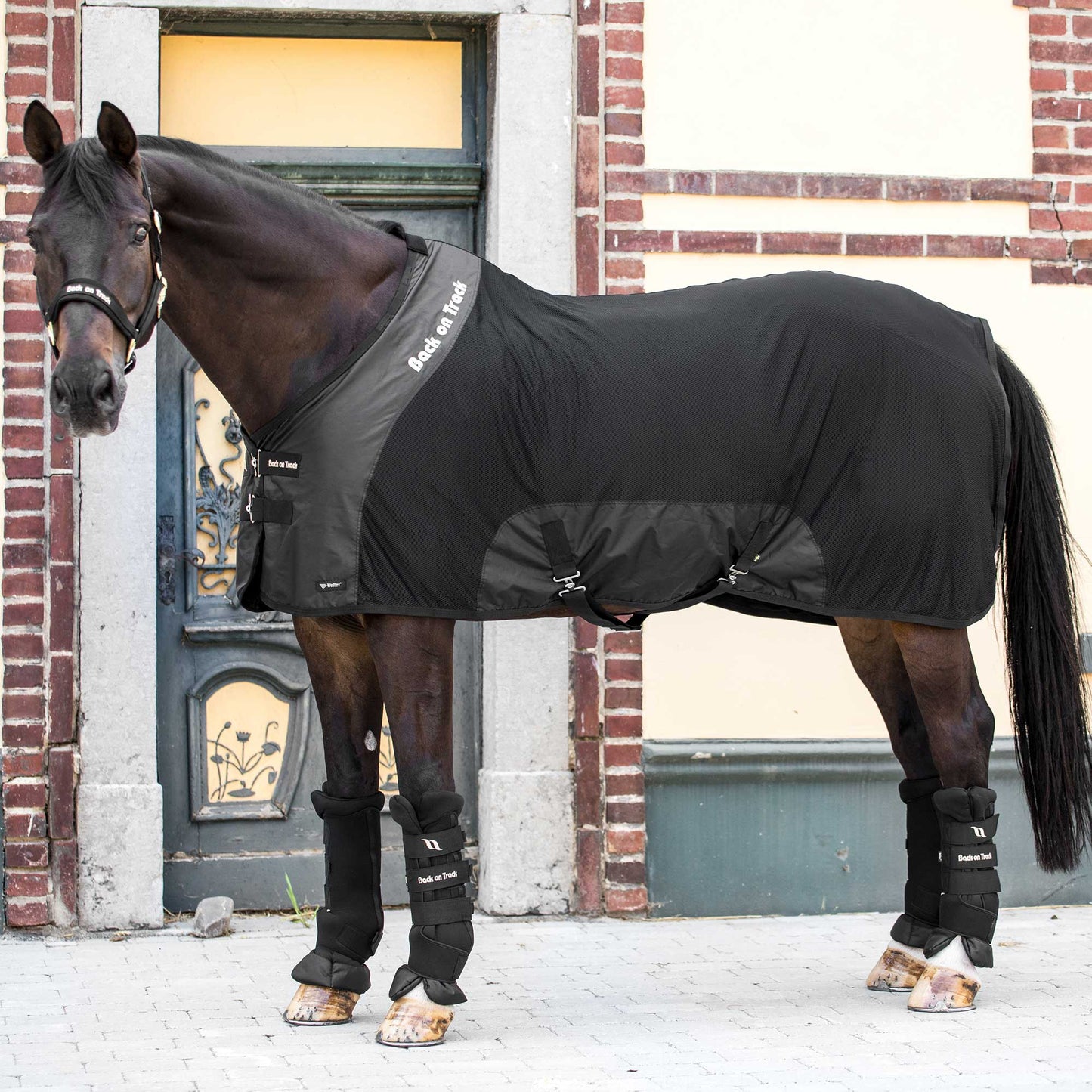 Royal Maasdeken Deluxe