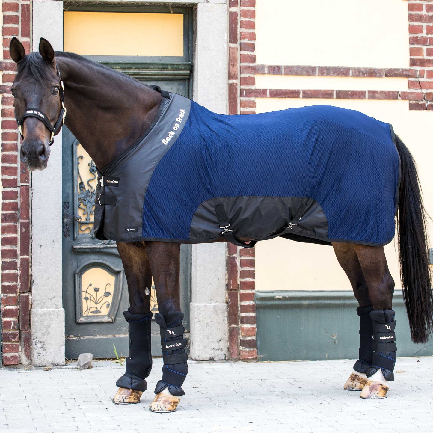 Royal Maasdeken Deluxe
