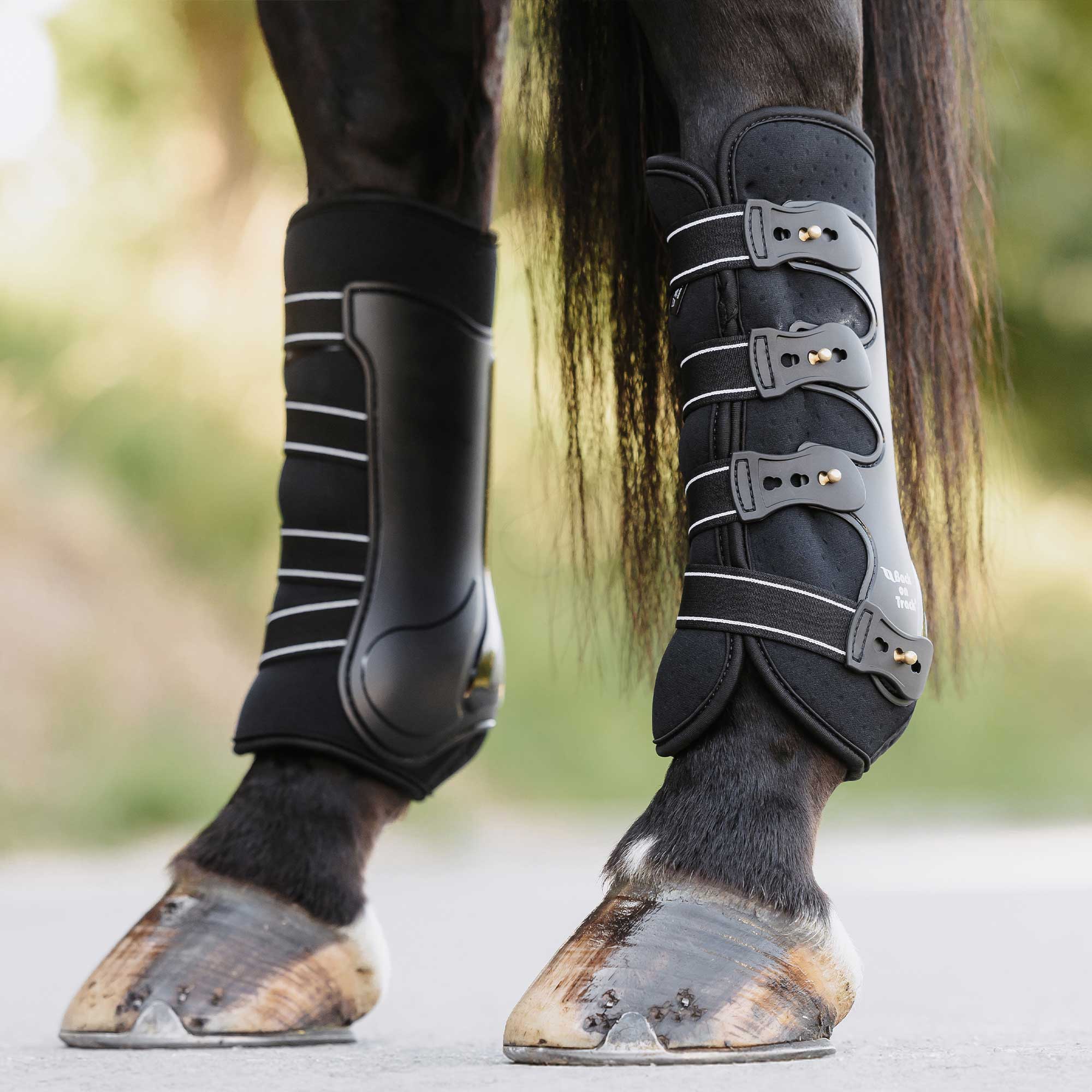 Royal Work Boots, Hind