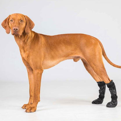 "Lola" huisdierschoenen
