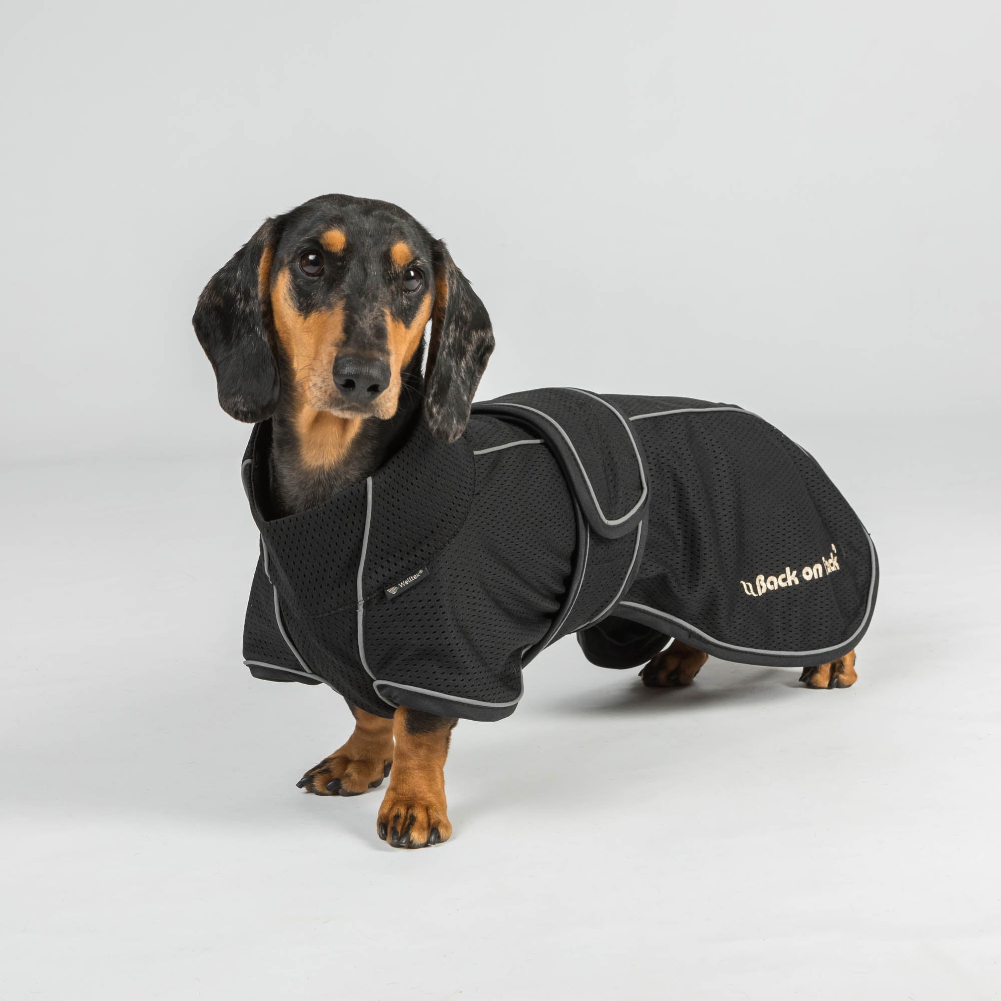 BUDDY 2.0 Mesh Dog Coat