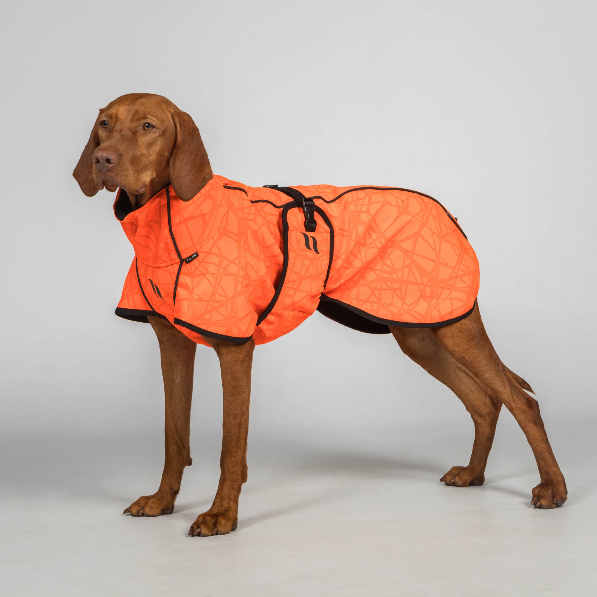 "Bark" High Visibility All-Round Coat - Orange