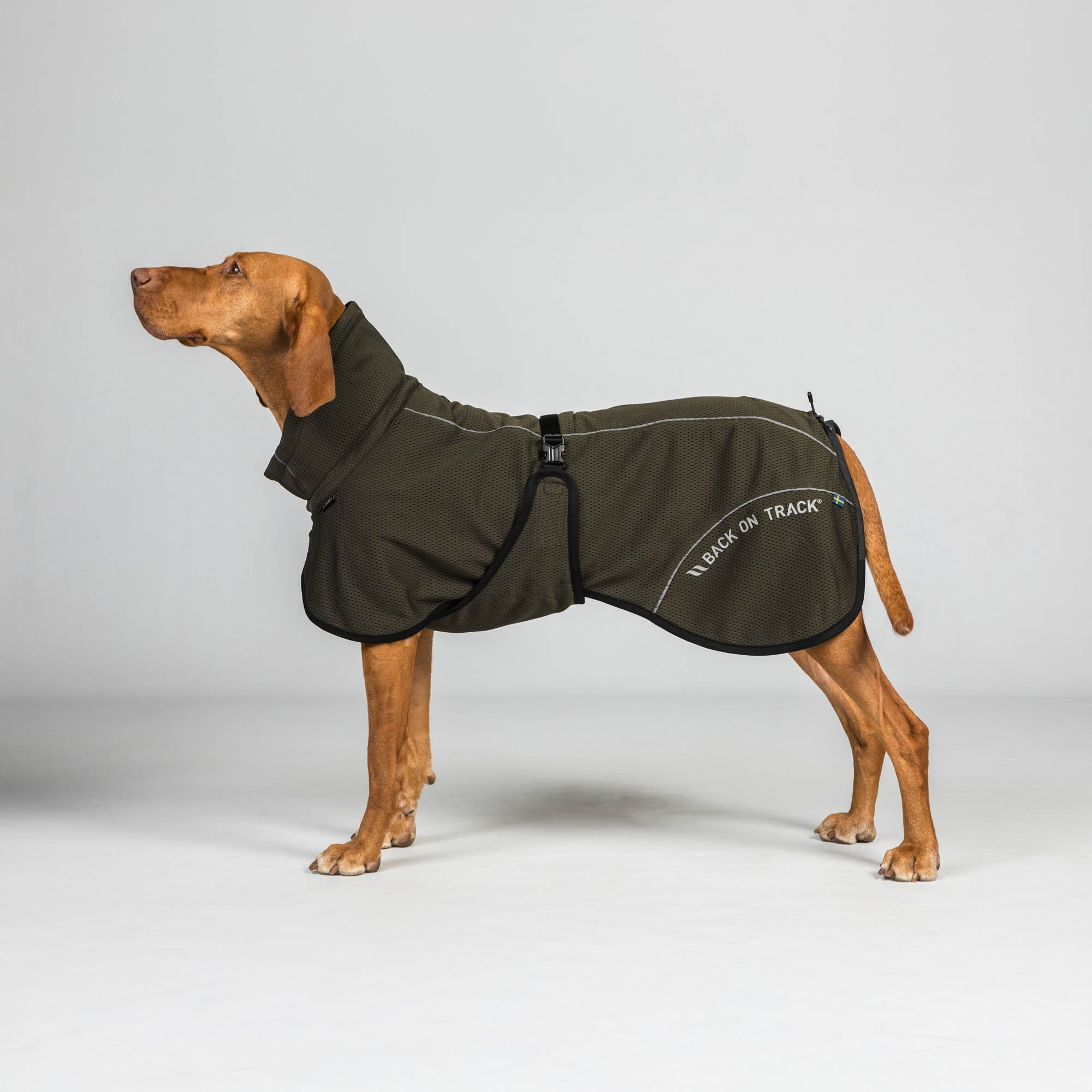 BAY Mesh dog coat - High set tail