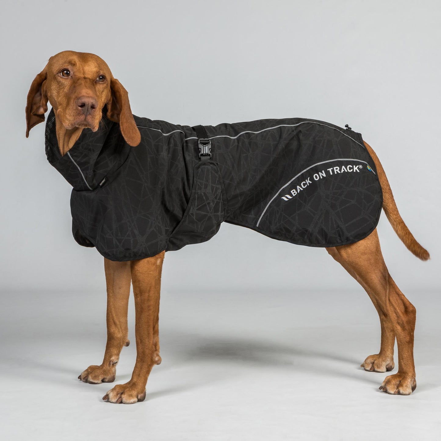 BAY Rain Dog Coat – High Set Tail