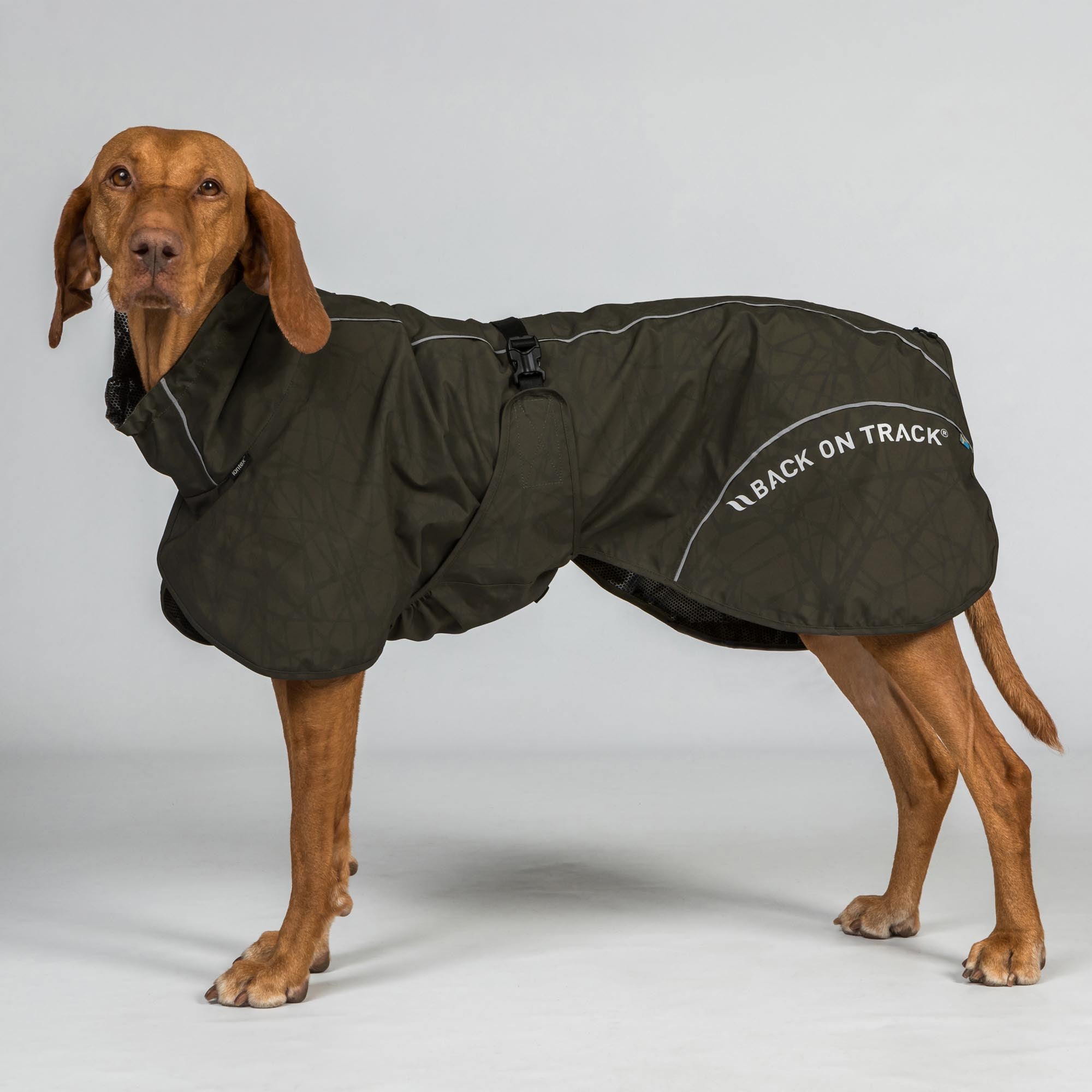 BAY Rain dog coat - High set tail