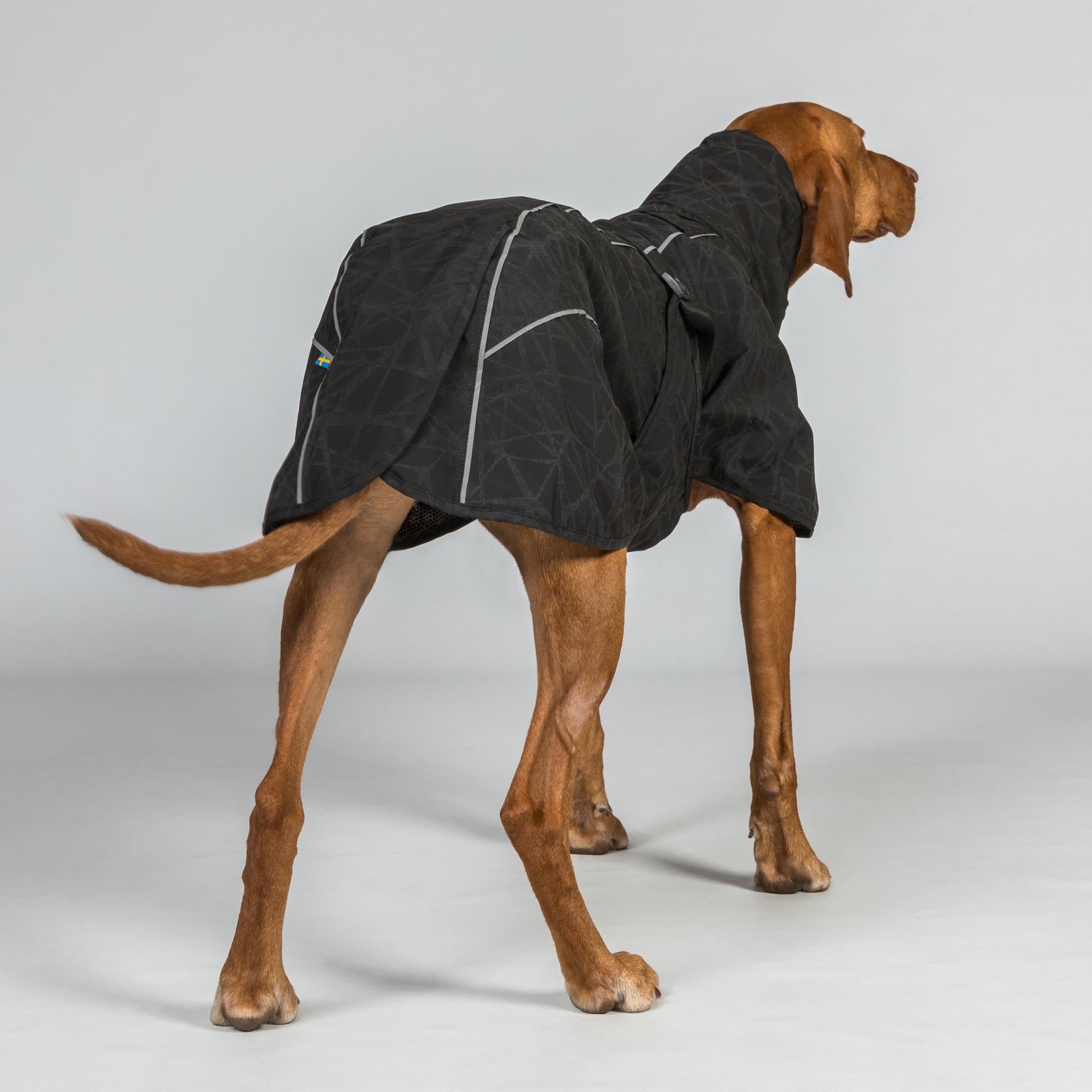 BAY Rain Dog Coat - Low set tail
