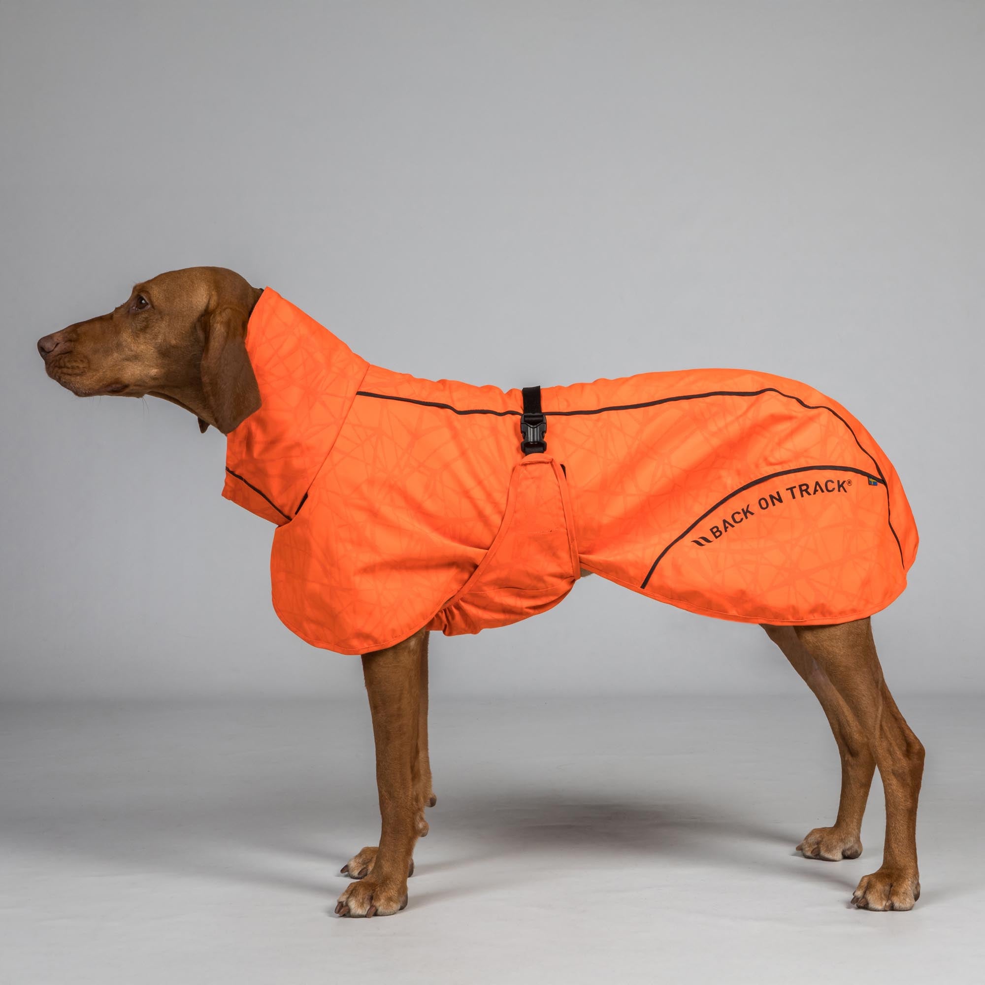 BAY Rain Dog Coat - Low set tail