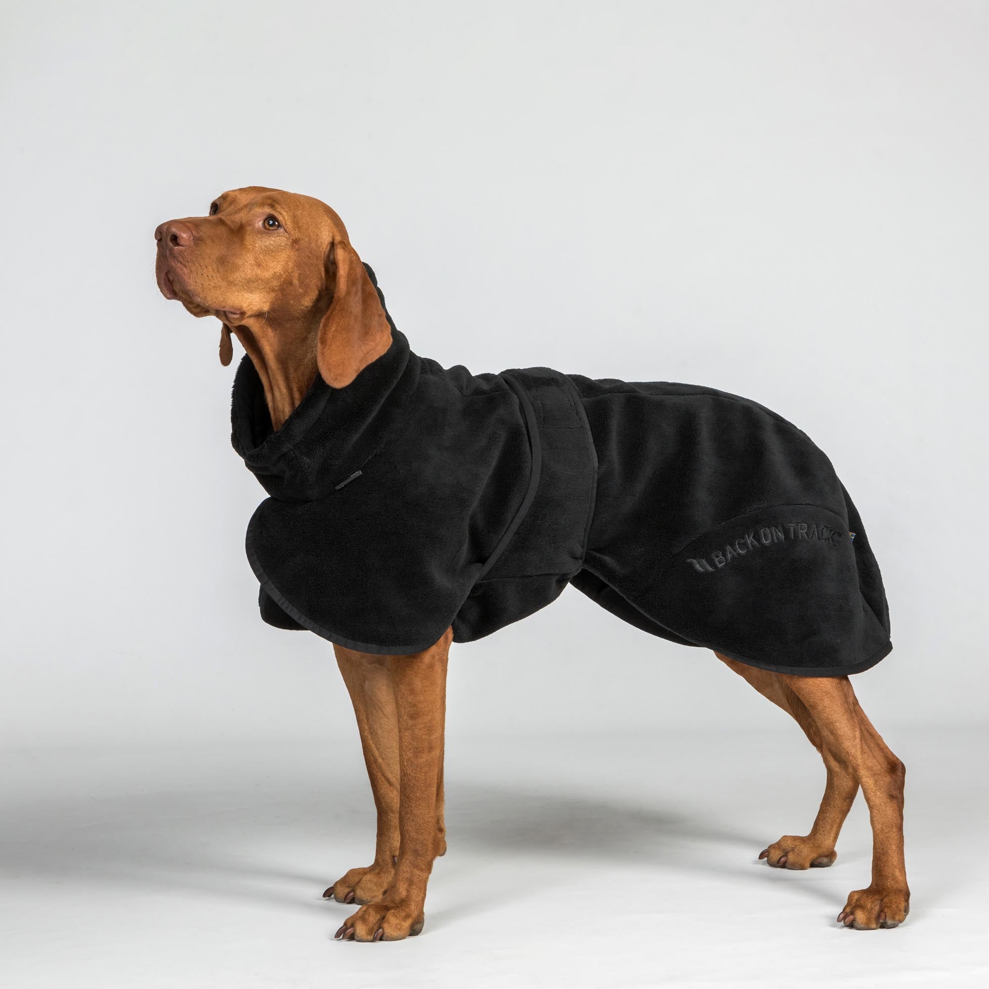 BAY Dry Dog Coat - Low set tail