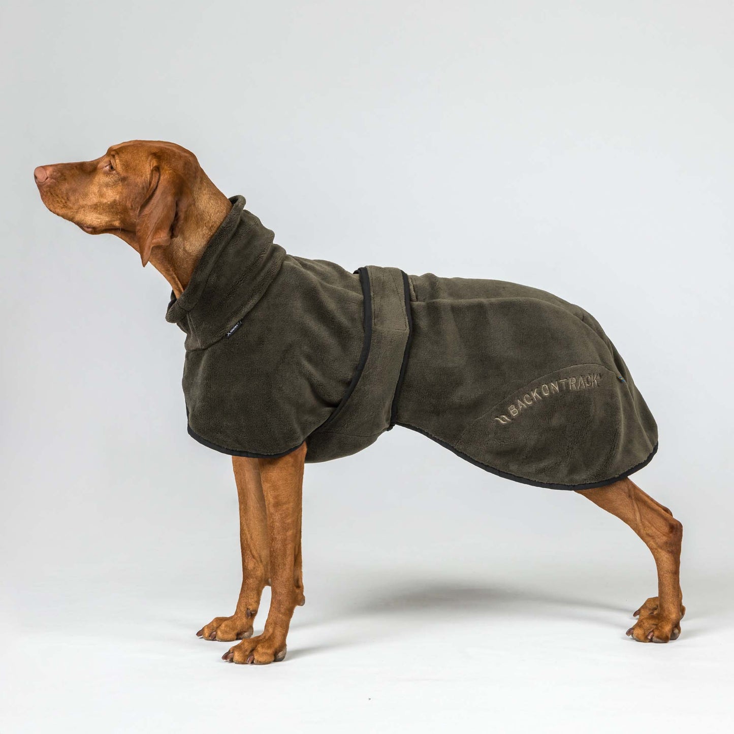 BAY Dry Dog Coat - Low set tail