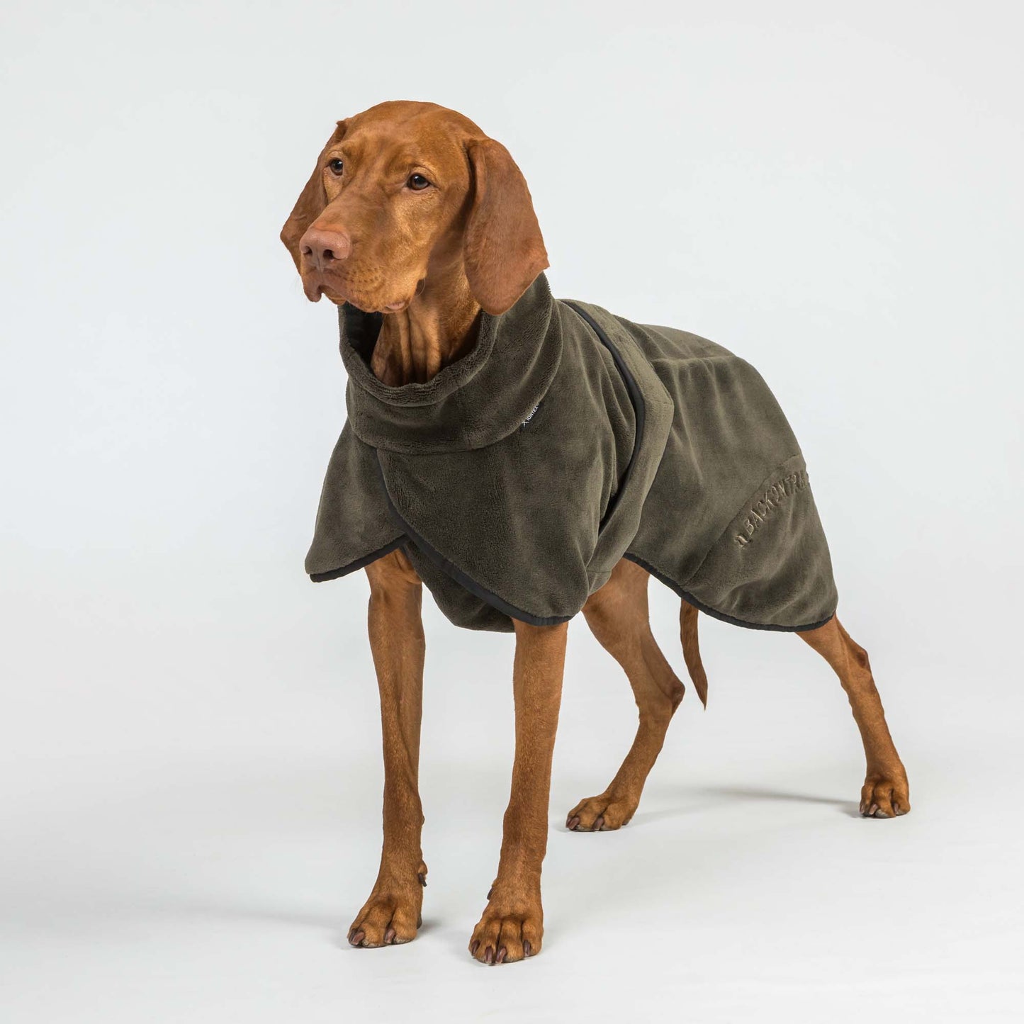 BAY Dry Dog Coat - Low set tail