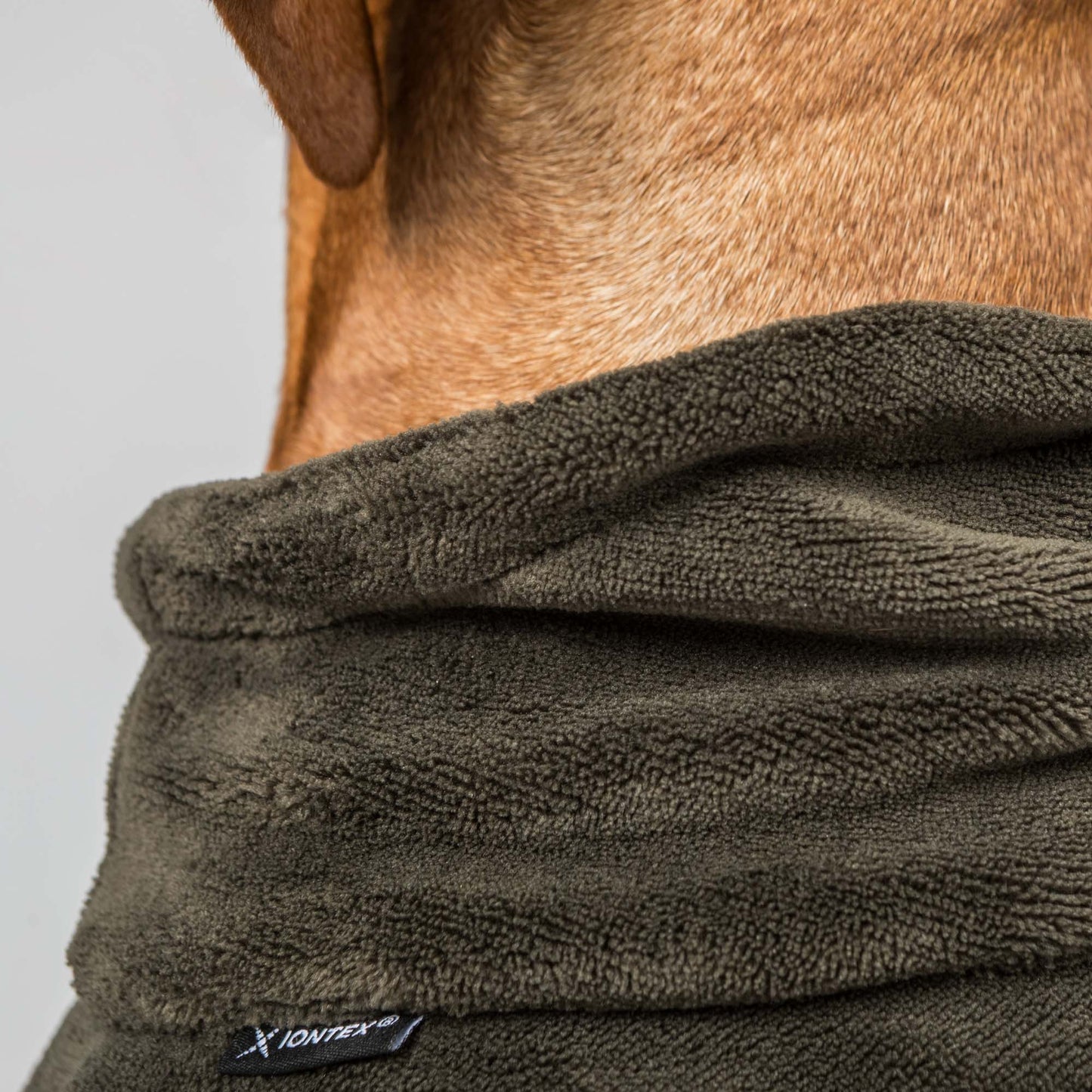 BAY Dry Dog Coat - Low set tail