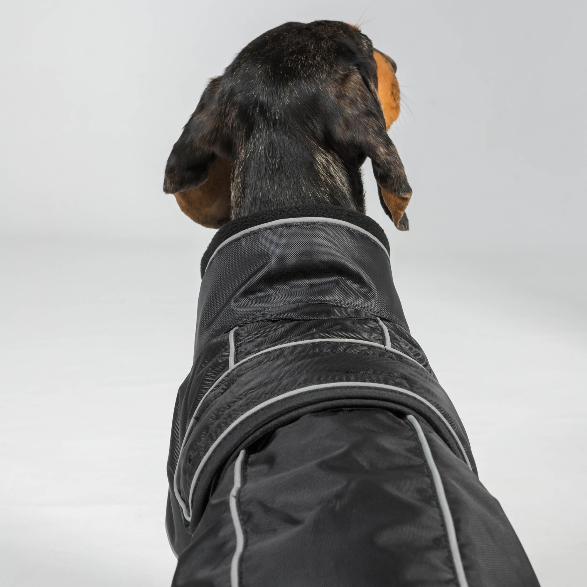 BUDDY 2.0 Thermal Dog Coat