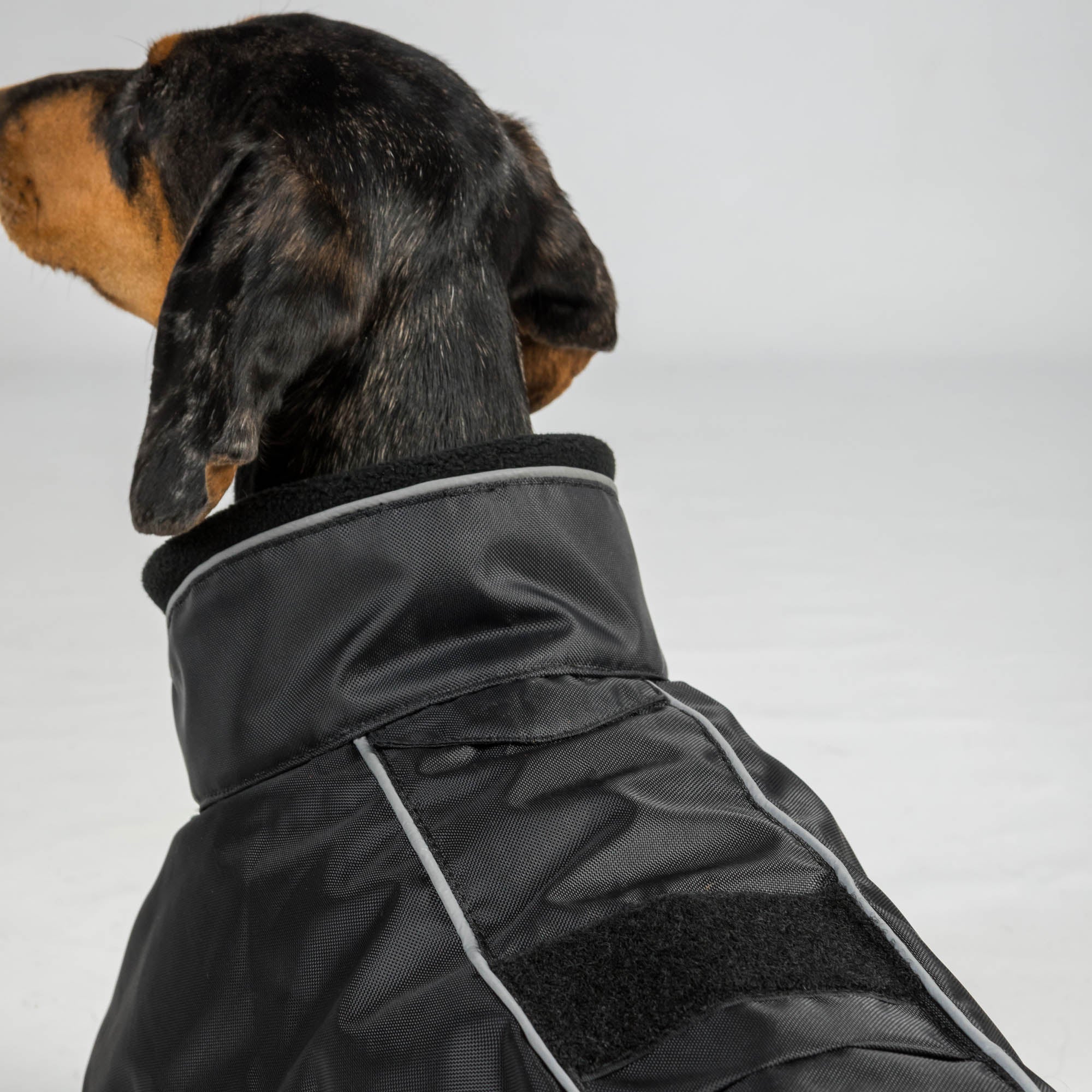 BUDDY 2.0 Thermal Dog Coat
