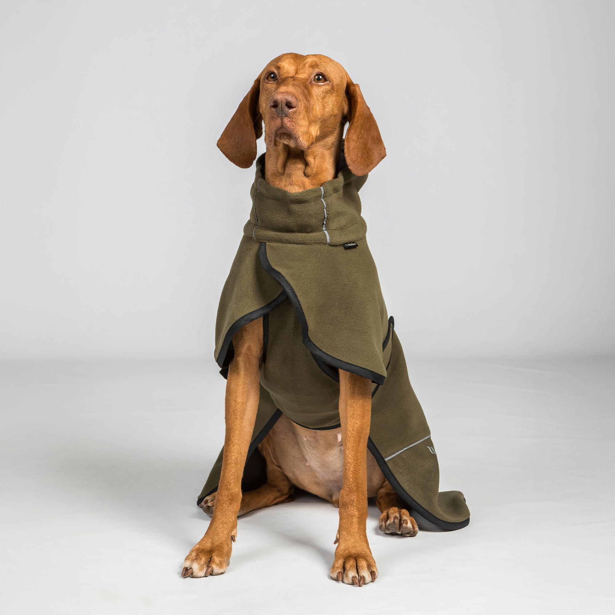 BAY Fleece Dog Coat, High set tail