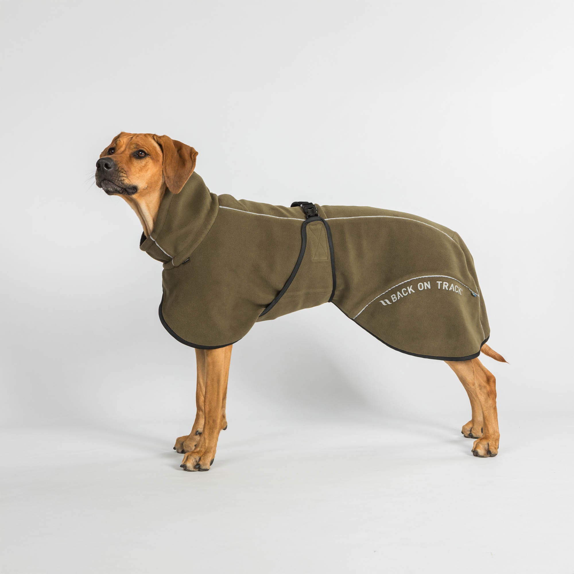 BAY Fleece Dog Coat, Low set tail