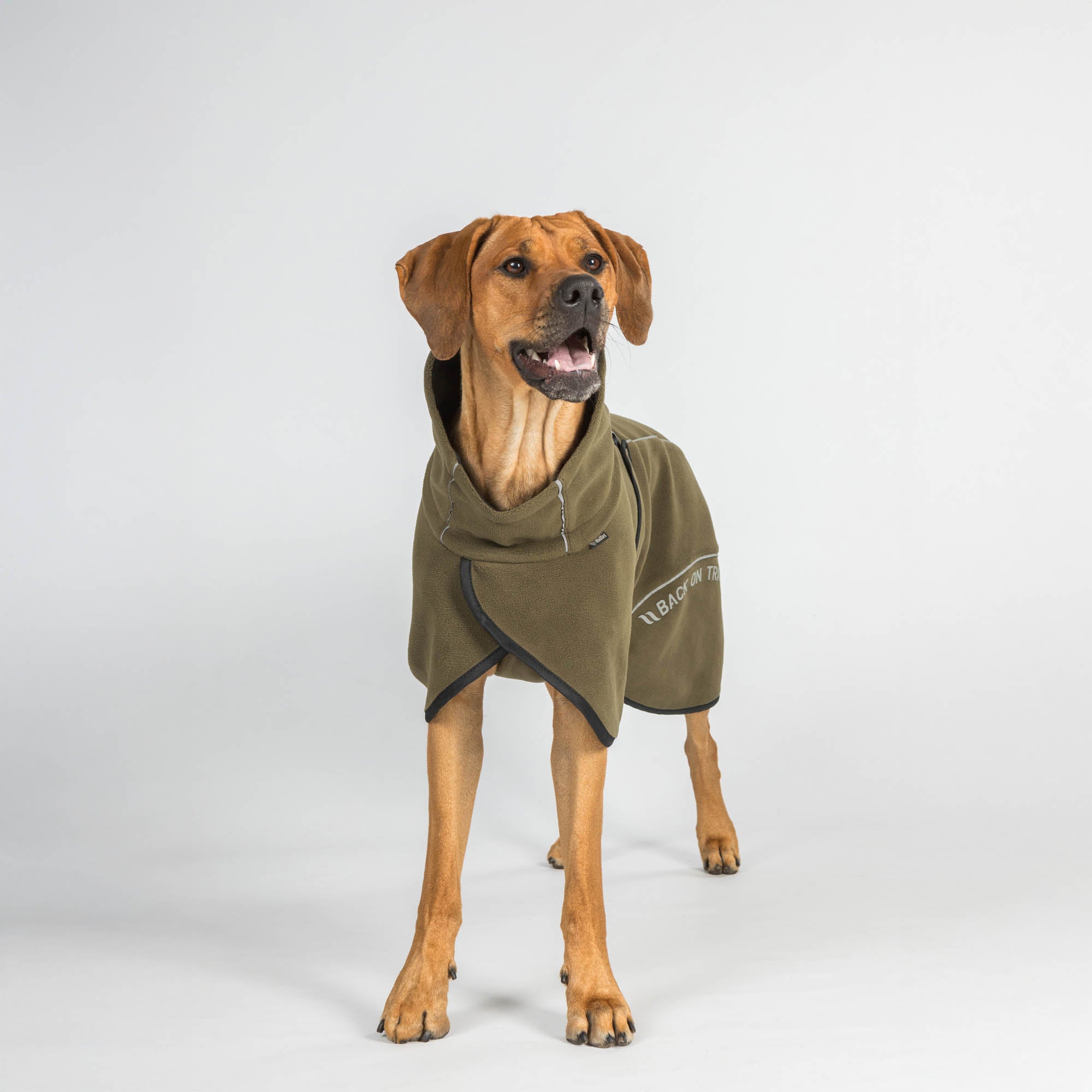 BAY Fleece Dog Coat, Low set tail