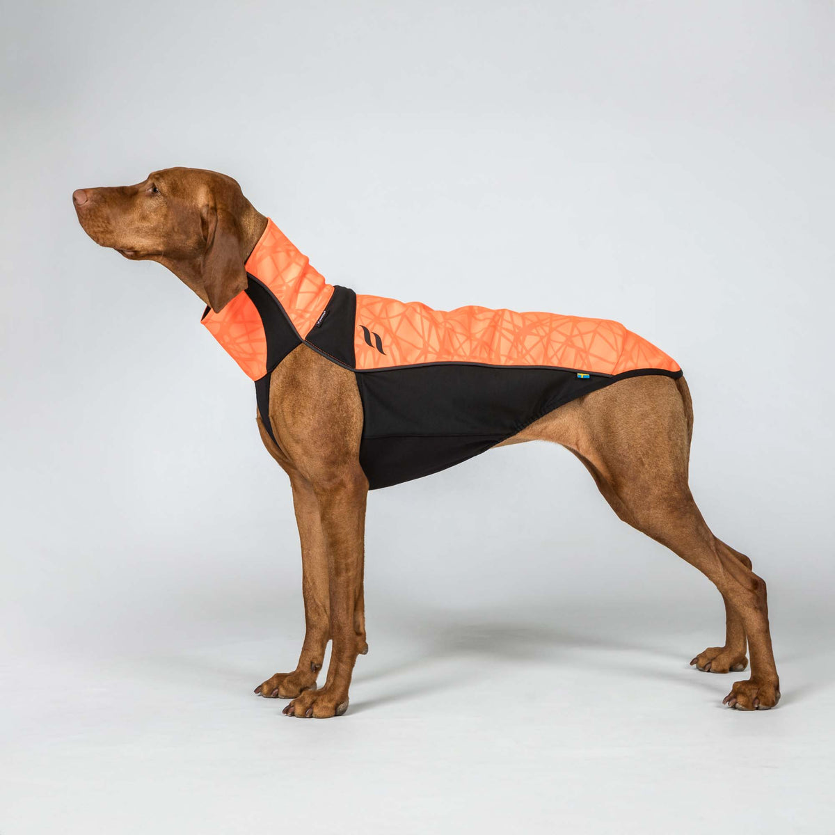 BARK Visibility suit