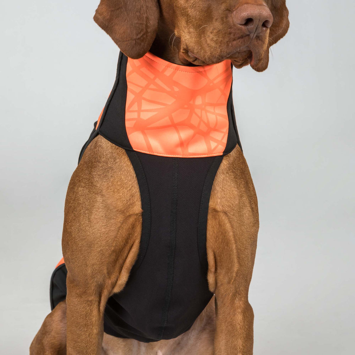 BARK Visibility suit