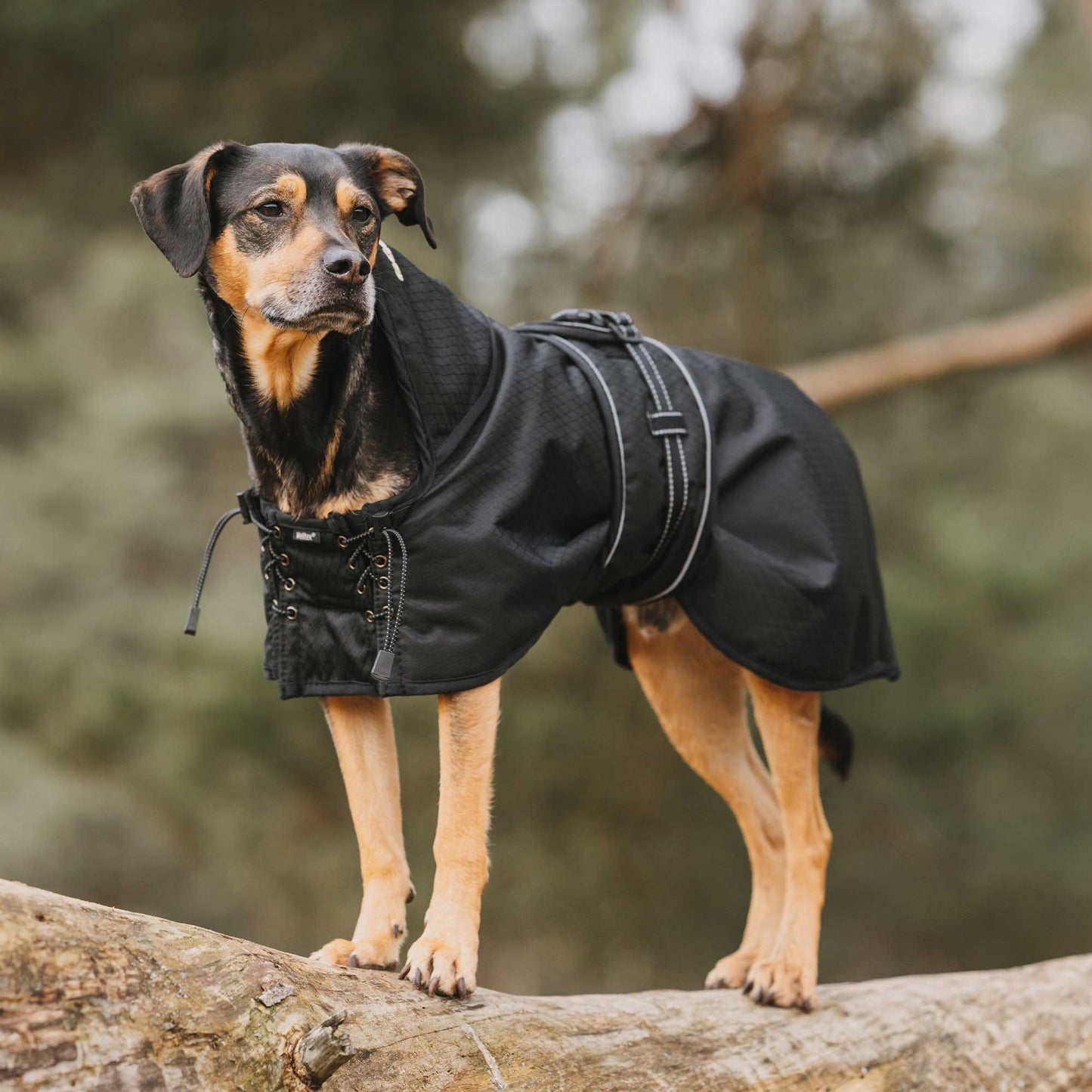 Dog Rain Coat without Filling