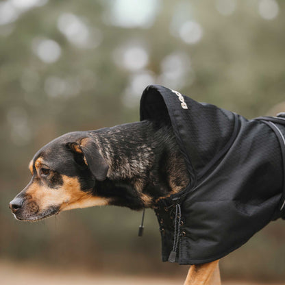 Dog Rain Coat without Filling