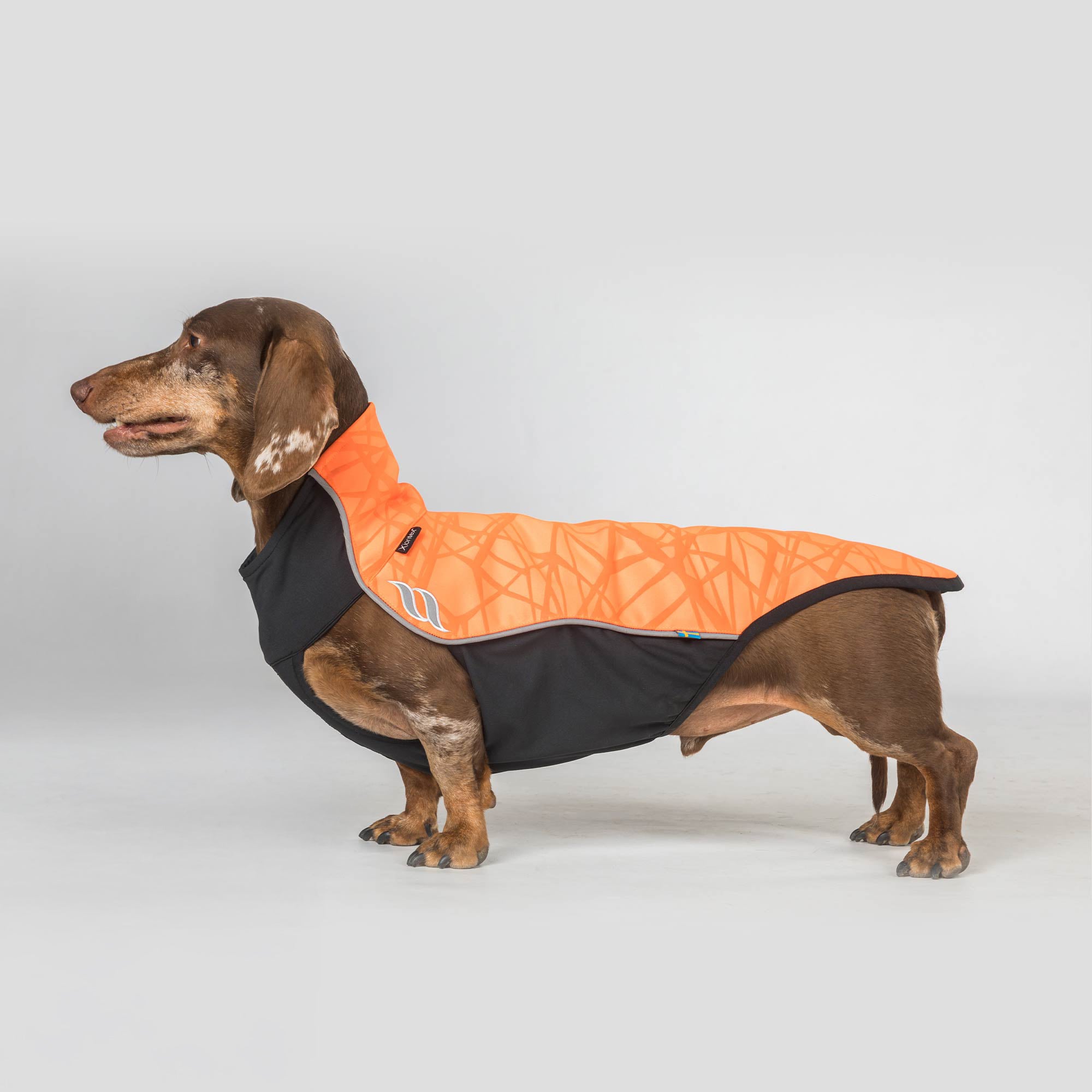 "Eddie" Petite High visibility Jumper, no hanger