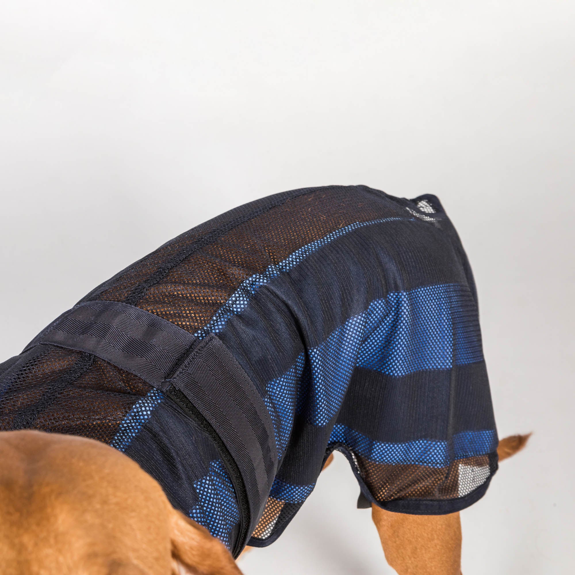 Cool on Track Dog Coat 2.0