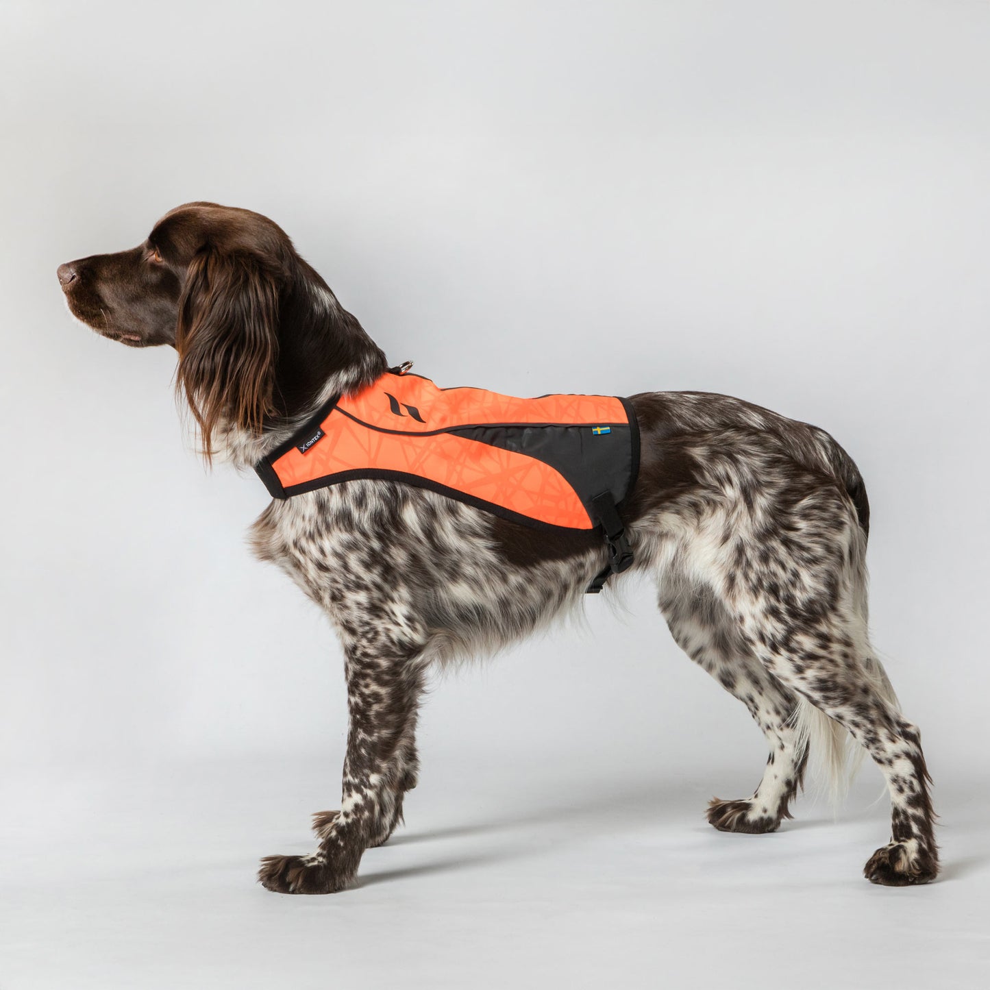 POINT Visibility Honden Vest
