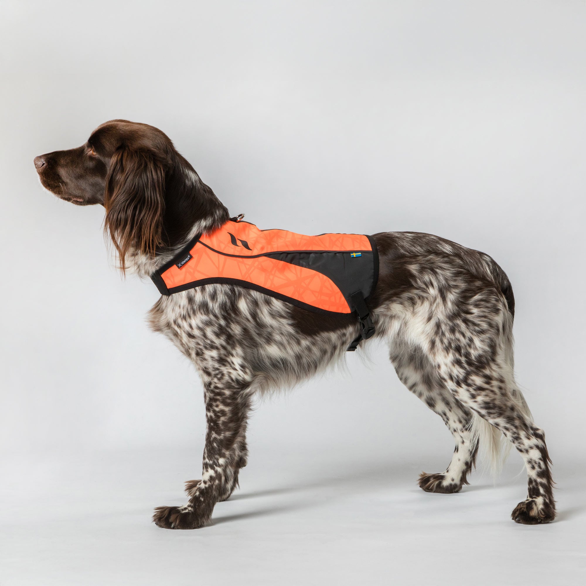 POINT Visibility Dog Vest