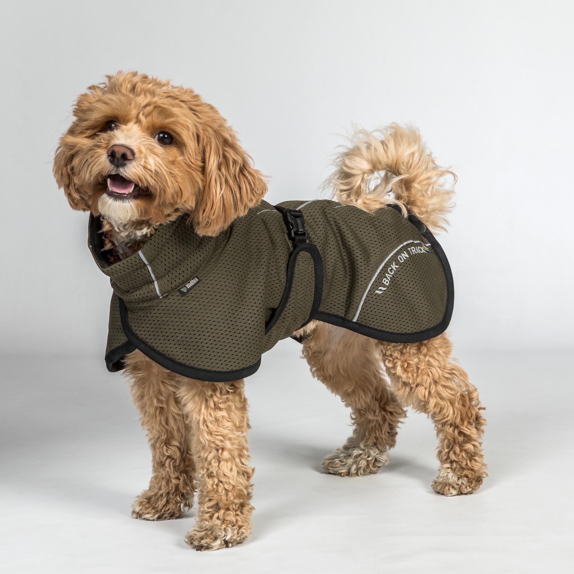 BAY Mesh dog coat - High set tail