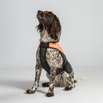TRAKK Visibility Honden Vest