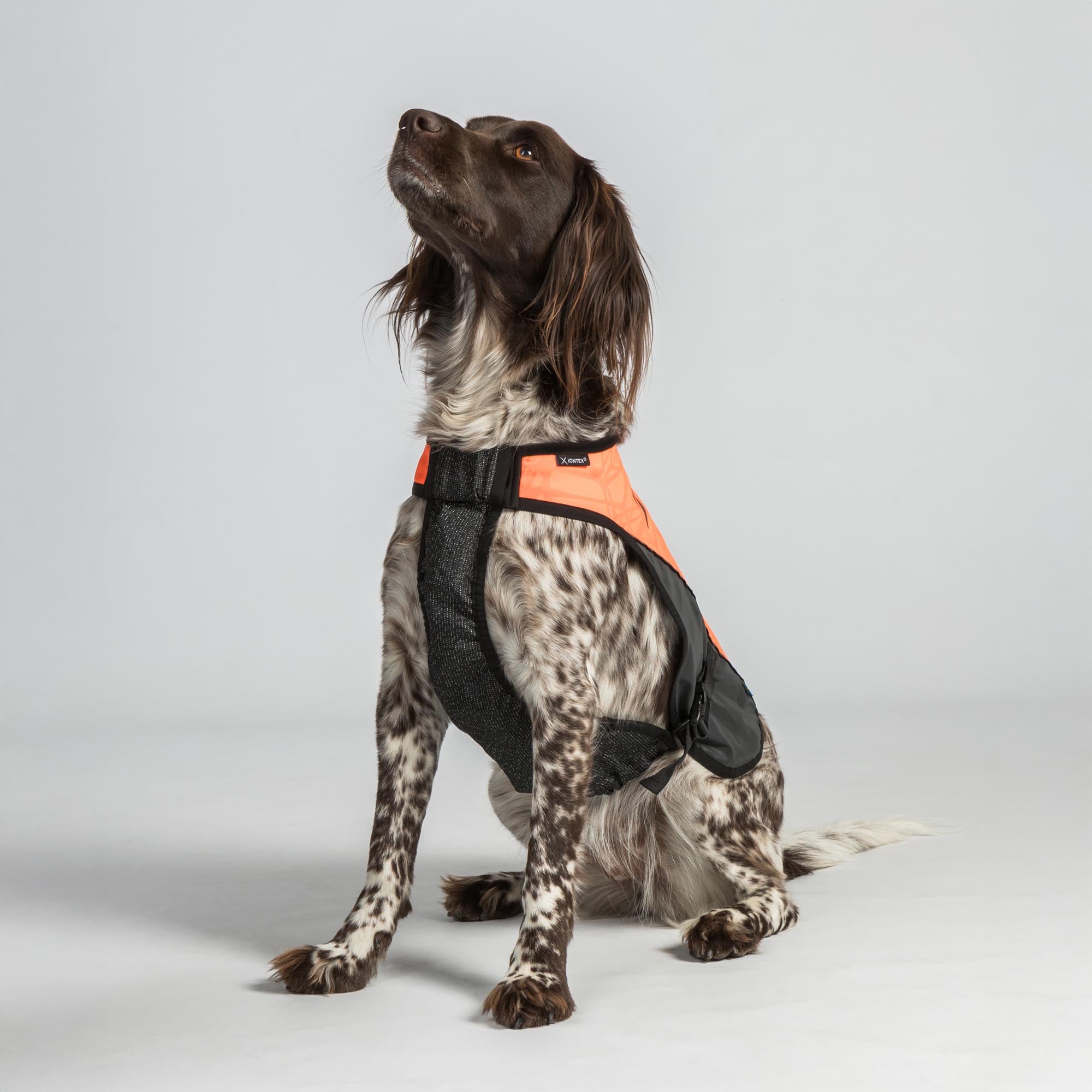 TRAKK Visibility Dog Chest Guard