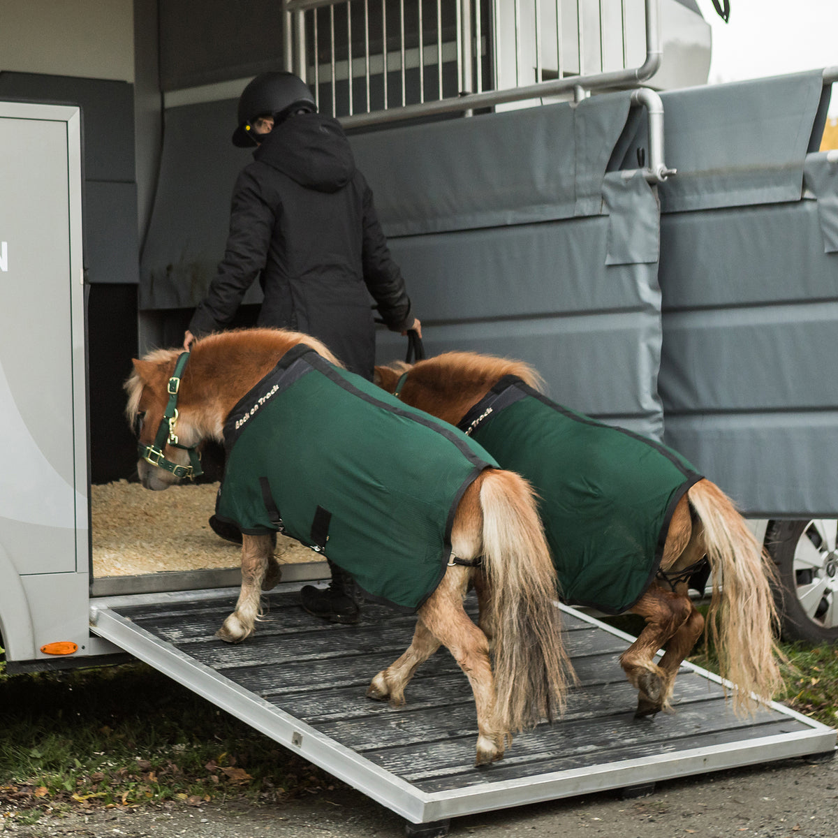 Ponies wearing Royal Pony Mesh Rug Deluxe