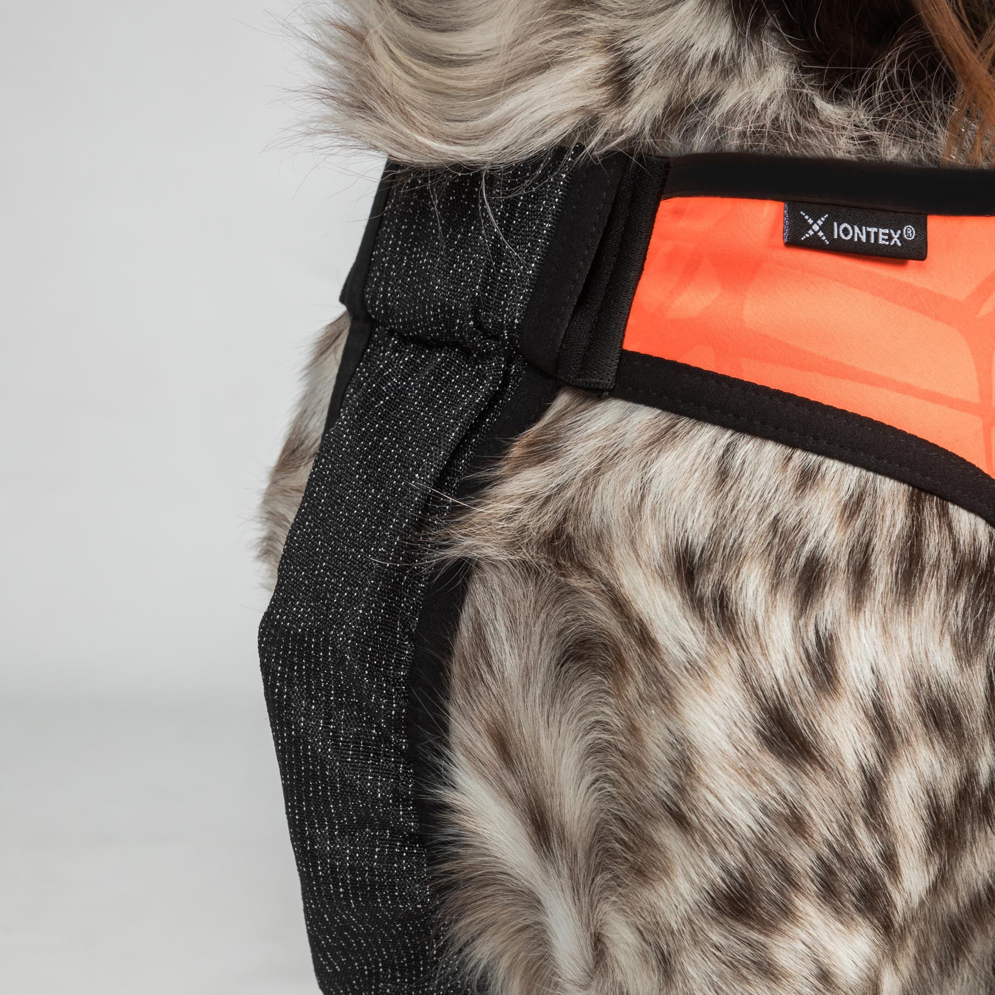 TRAKK Visibility Dog Chest Guard